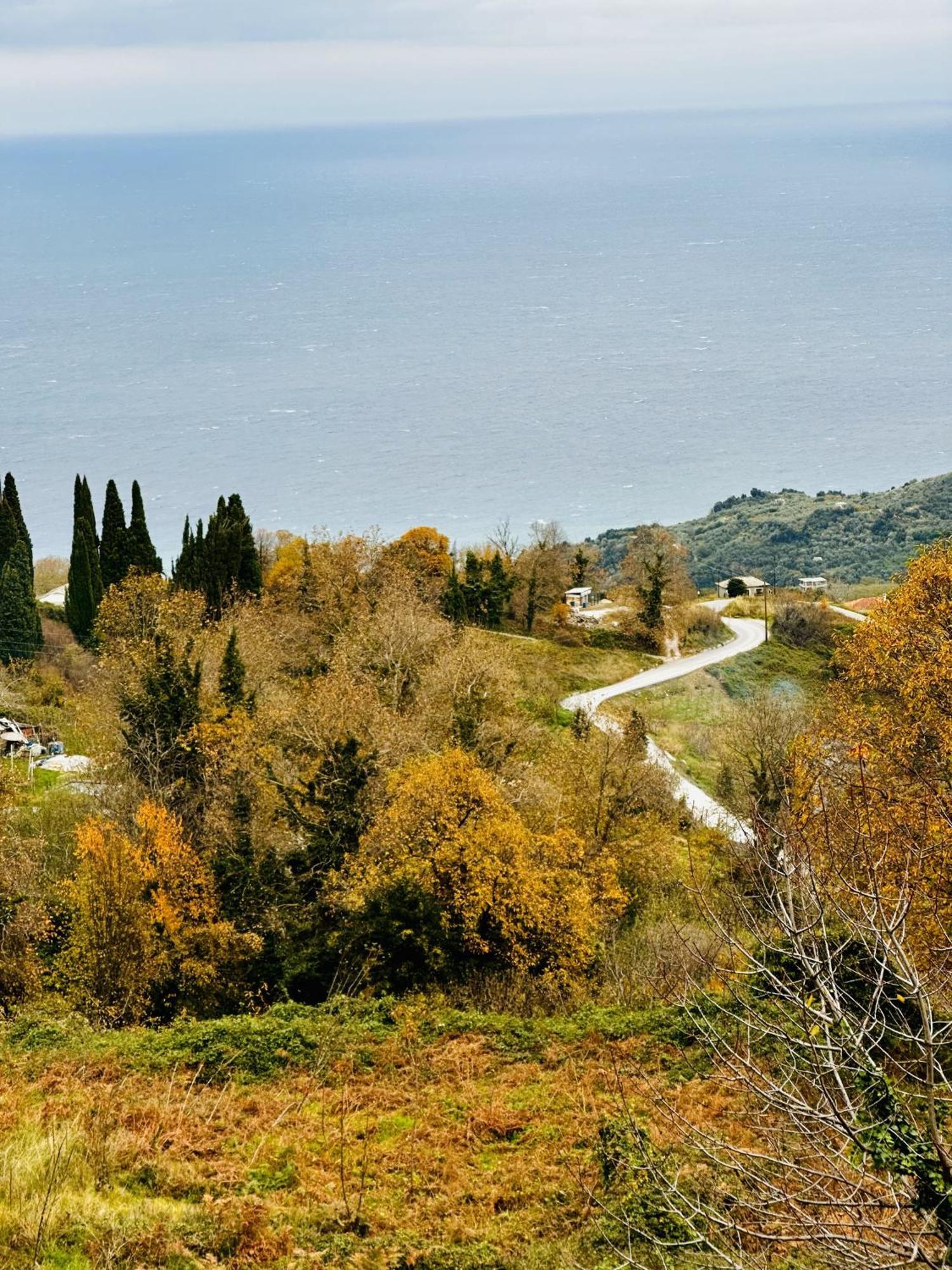 Luxury Villa At Pelion- Ruby Zagora Exterior foto